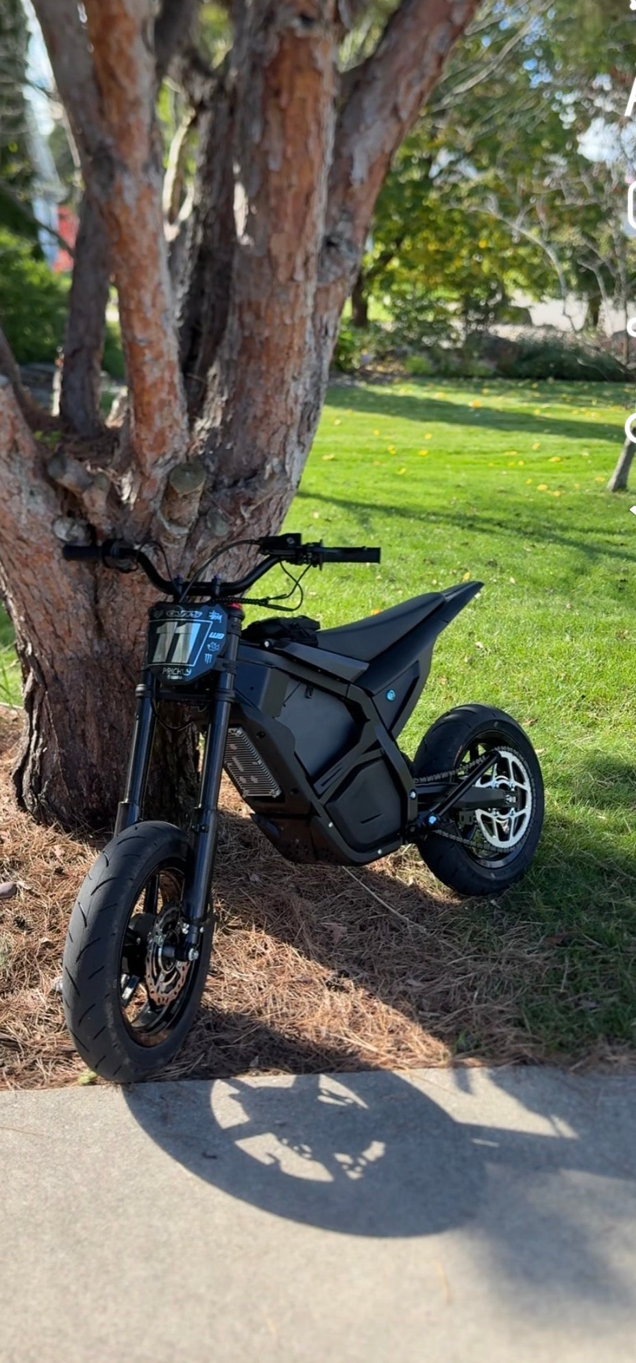 Yozma/Heybike/Tuttio/Razor Supermoto 12 inch wheels